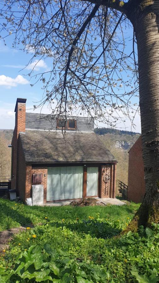 La Cabane D'Helie - Cottage En Pleine Foret - Domaine Du Bonsoy Hastiere-par-dela Zewnętrze zdjęcie