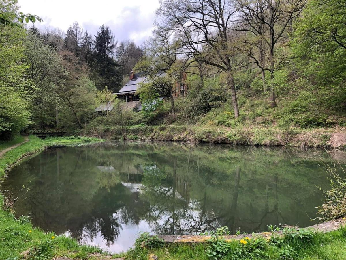 La Cabane D'Helie - Cottage En Pleine Foret - Domaine Du Bonsoy Hastiere-par-dela Zewnętrze zdjęcie
